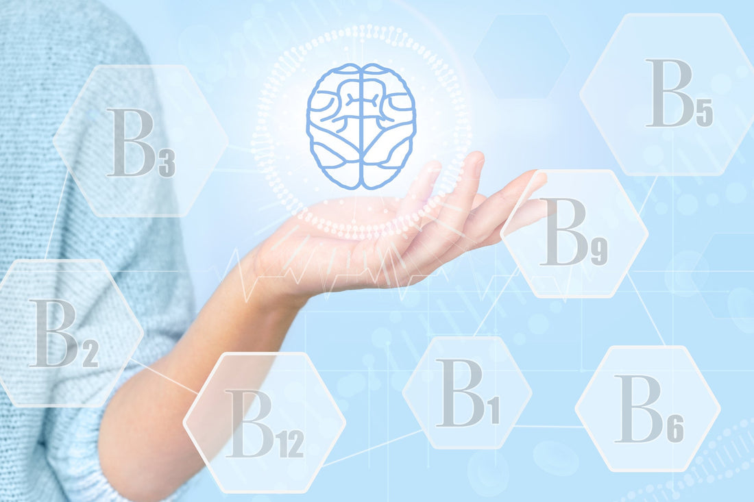 Fermented B-Vitamins vs. Traditional B-Vitamins