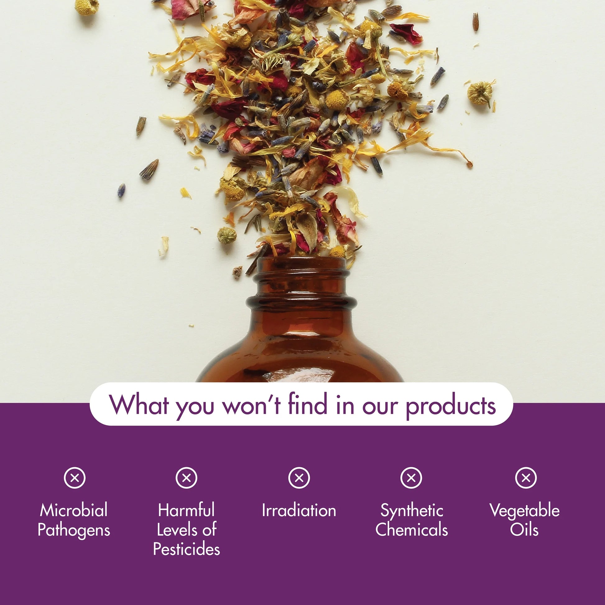 Essential Oils, Nature'S Shield, Energizing Aromatherapy Scent, Blend of Pure Essential Oils, Vegan, Child Resistant Cap, 1-Ounce