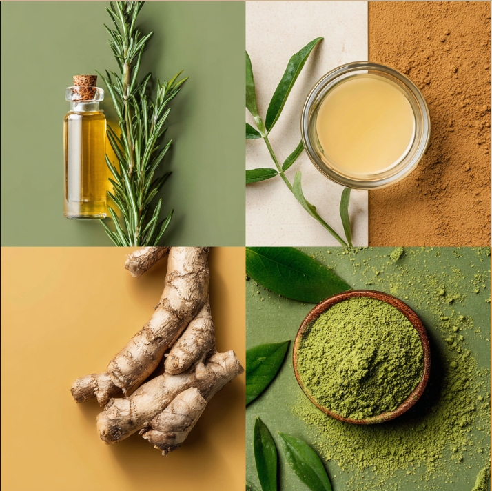 Botanical Hair Growth Serum